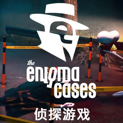 The Enigma Cases